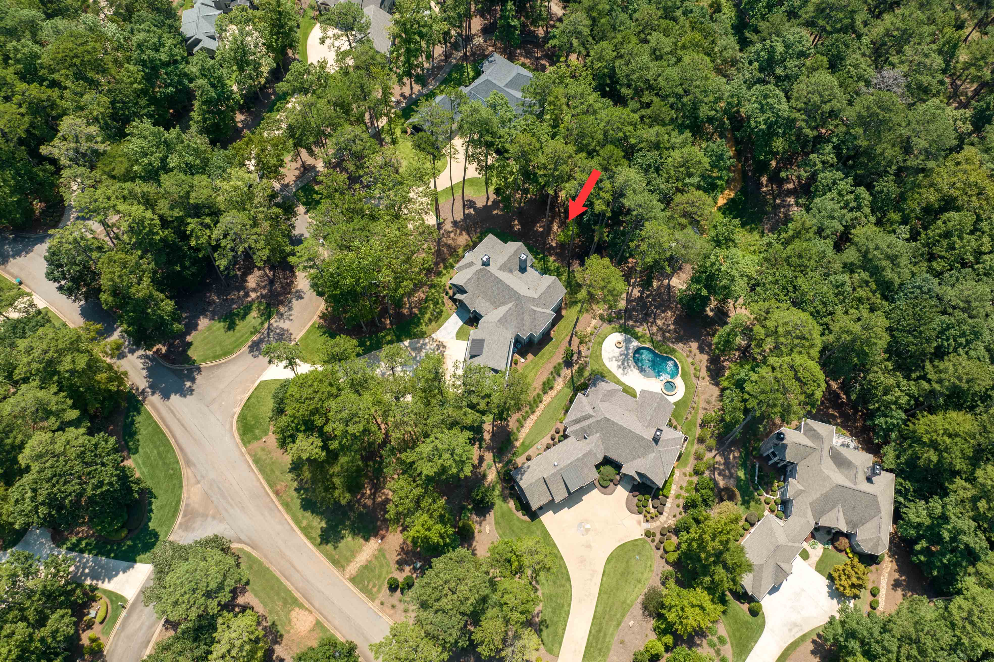 1121 Curtright Place image 46